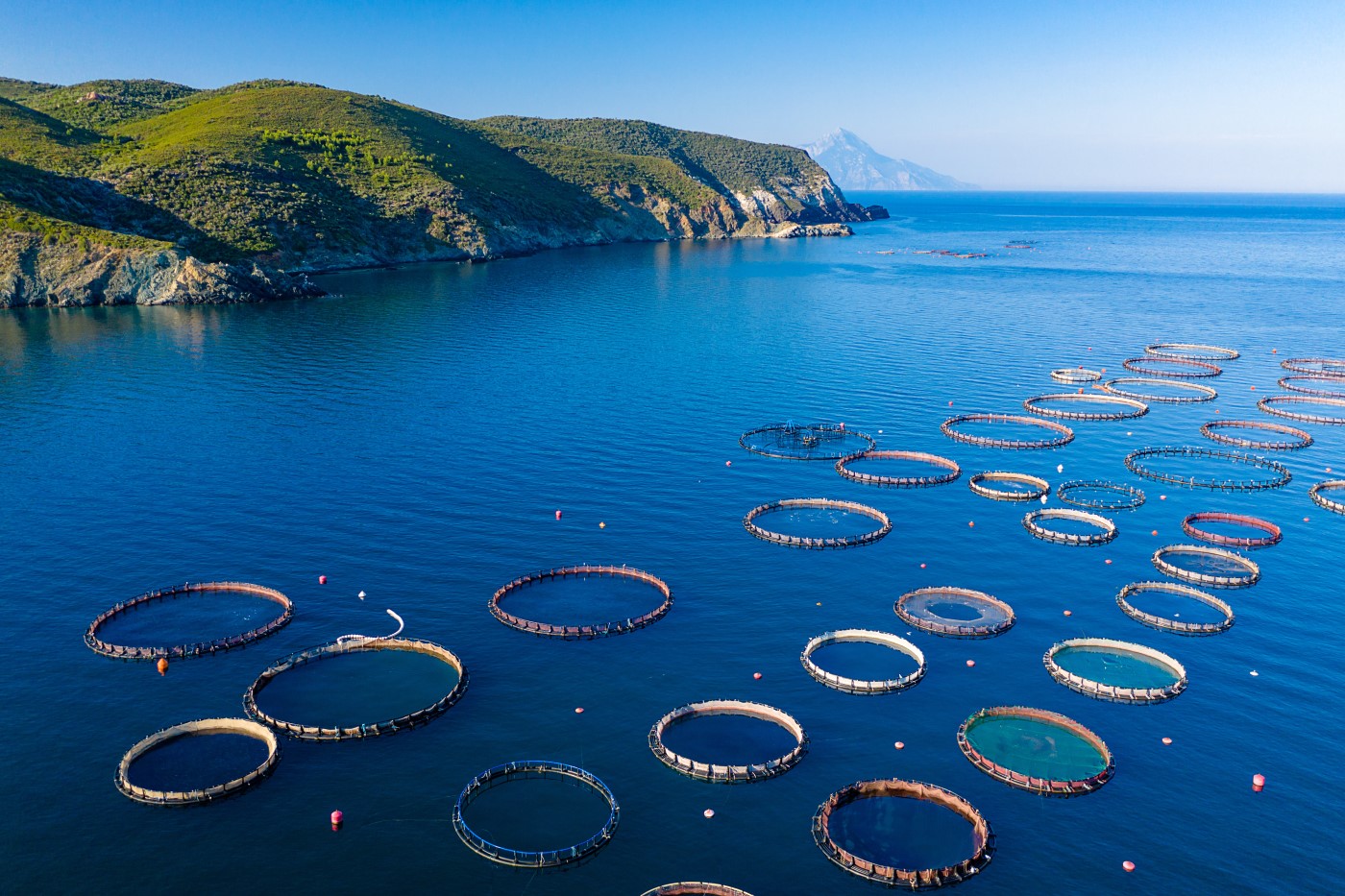 Aquaculture and fisheries