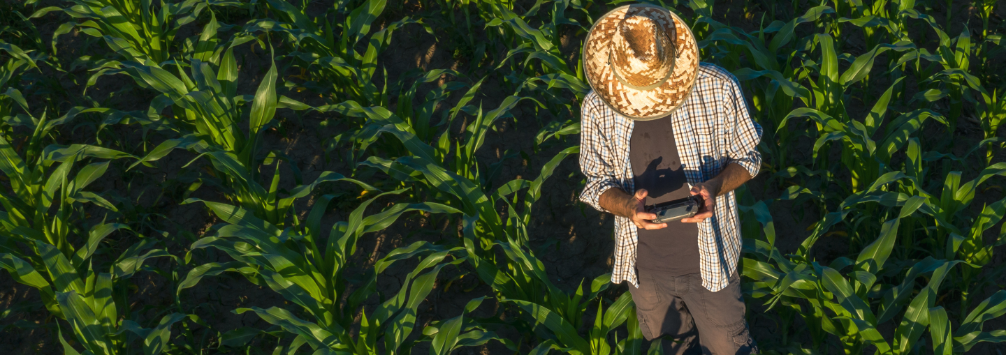 Agriculture farming