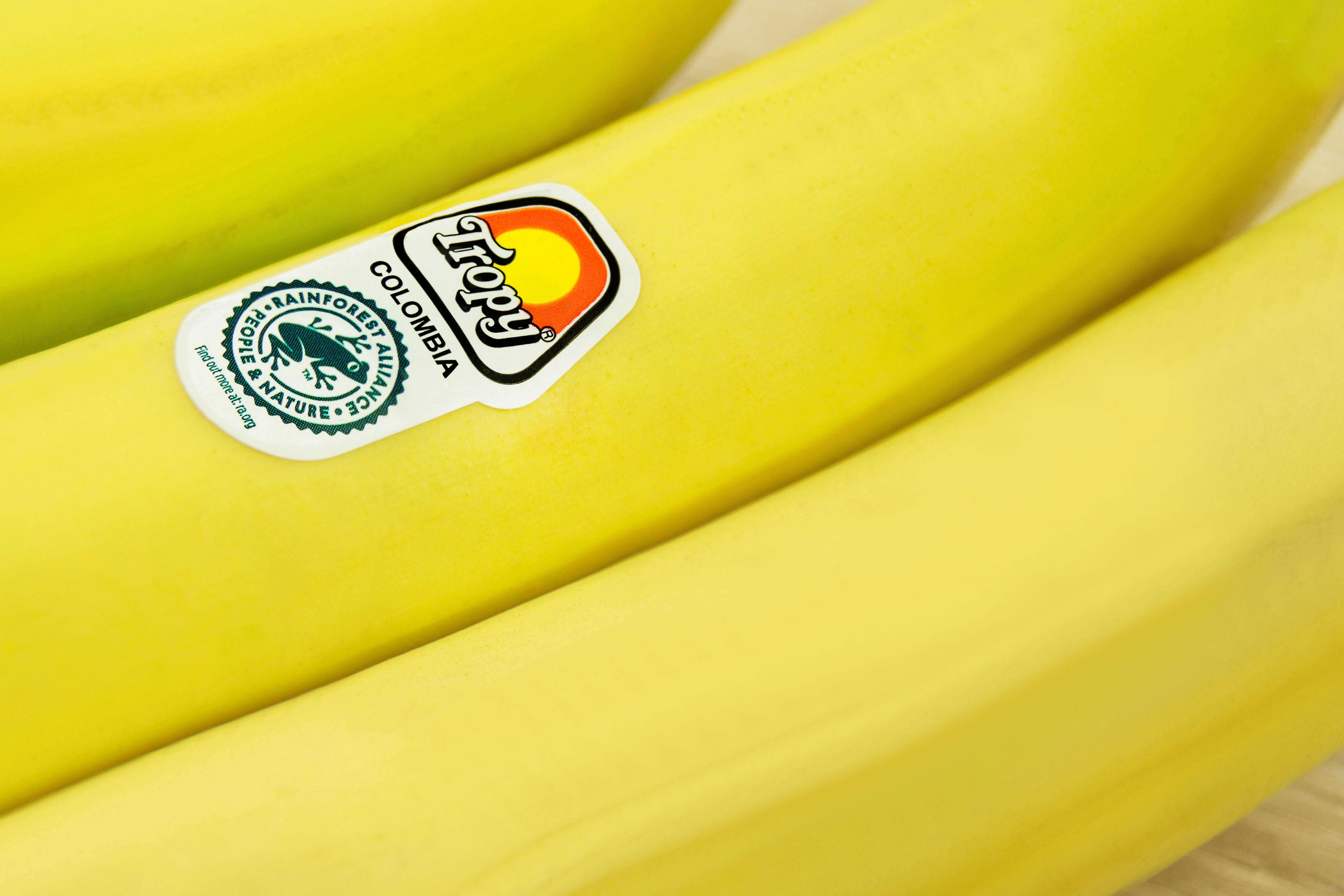 Use of marks and logos Use of marks and logos