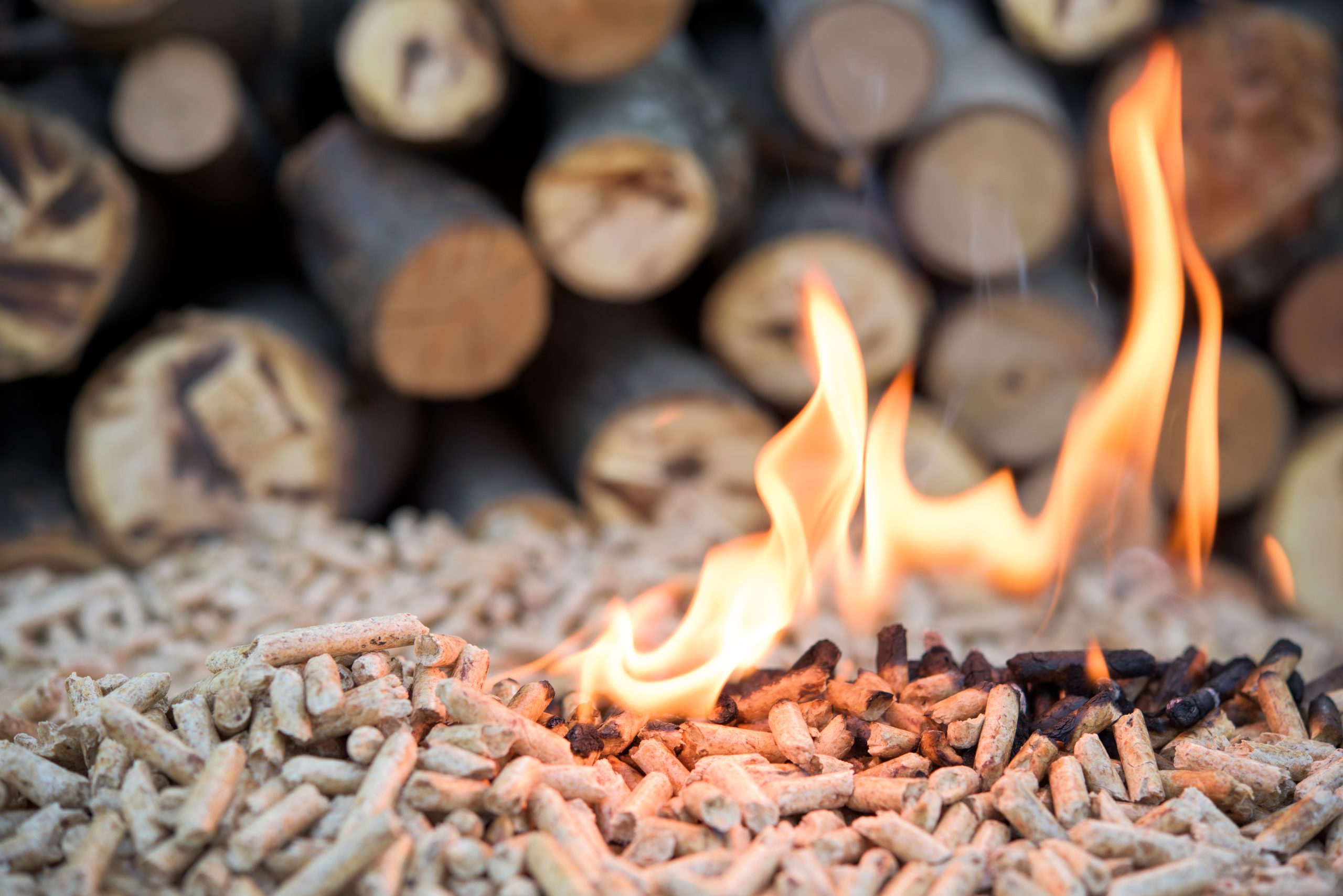 Biomass in flame