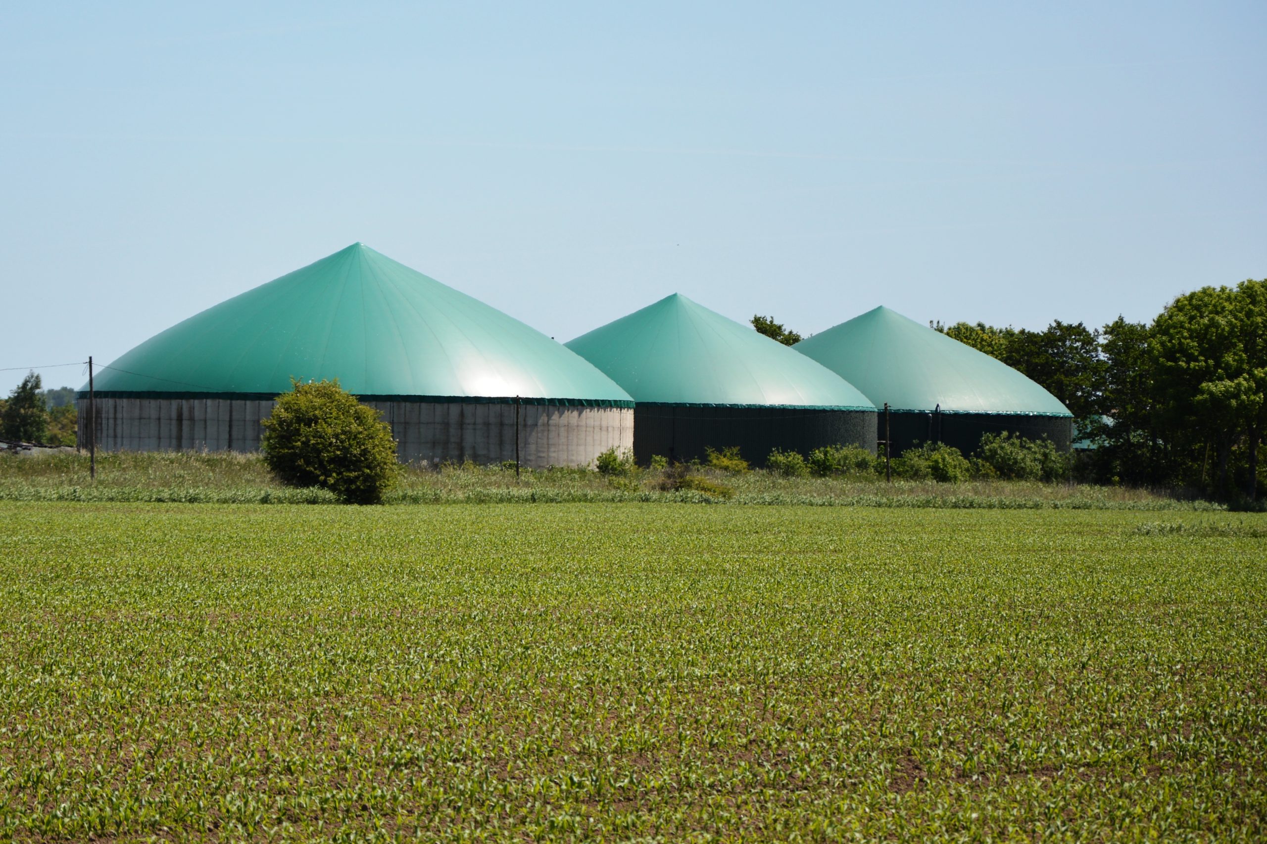 Biogas_plant_near_Wremen