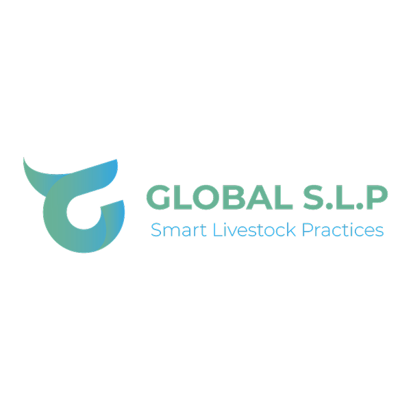 GLOBAL SLP