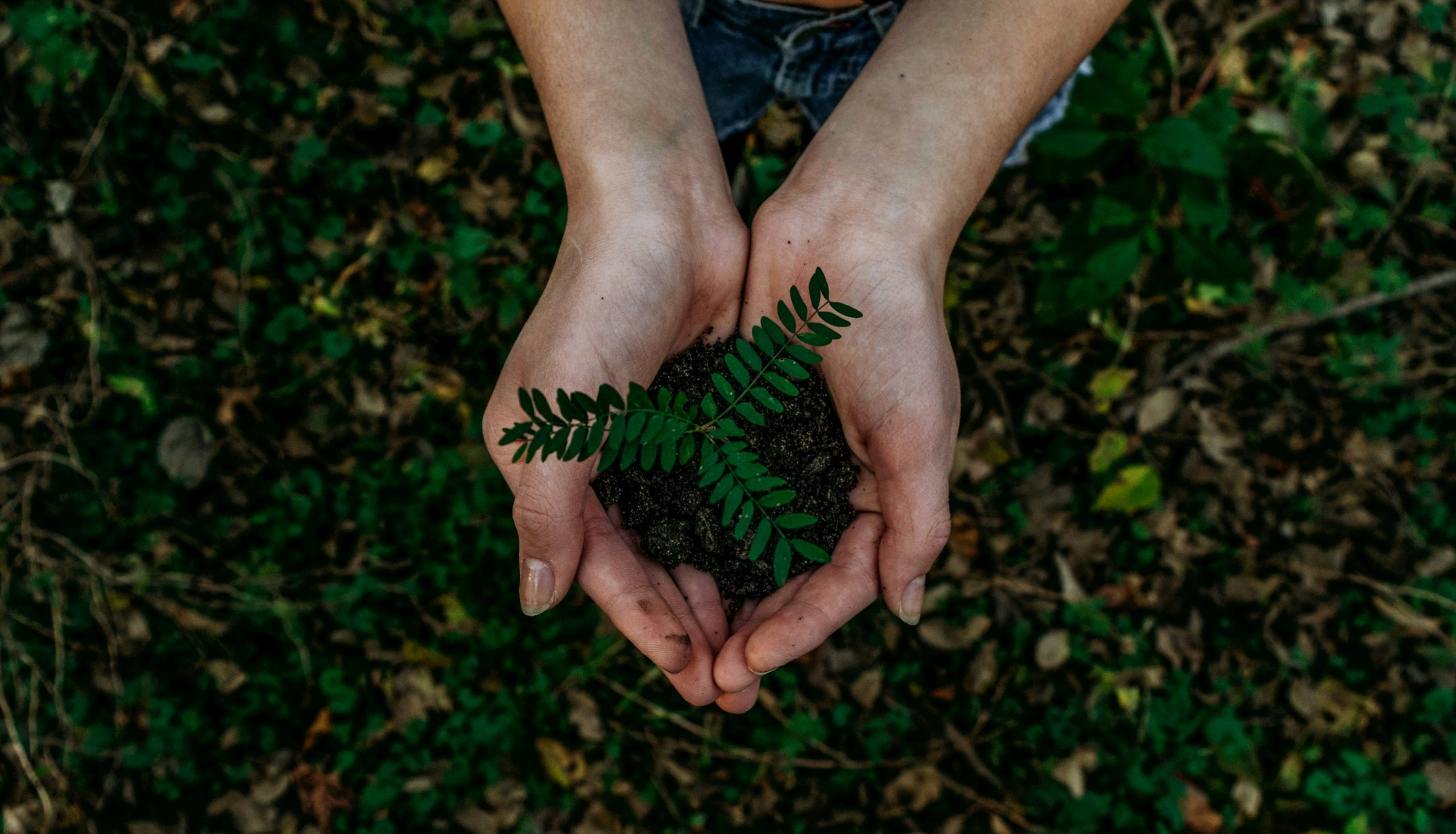 noah-buscher-x8ZStukS2PM-unsplash (1) noah-buscher-x8ZStukS2PM-unsplash (1)