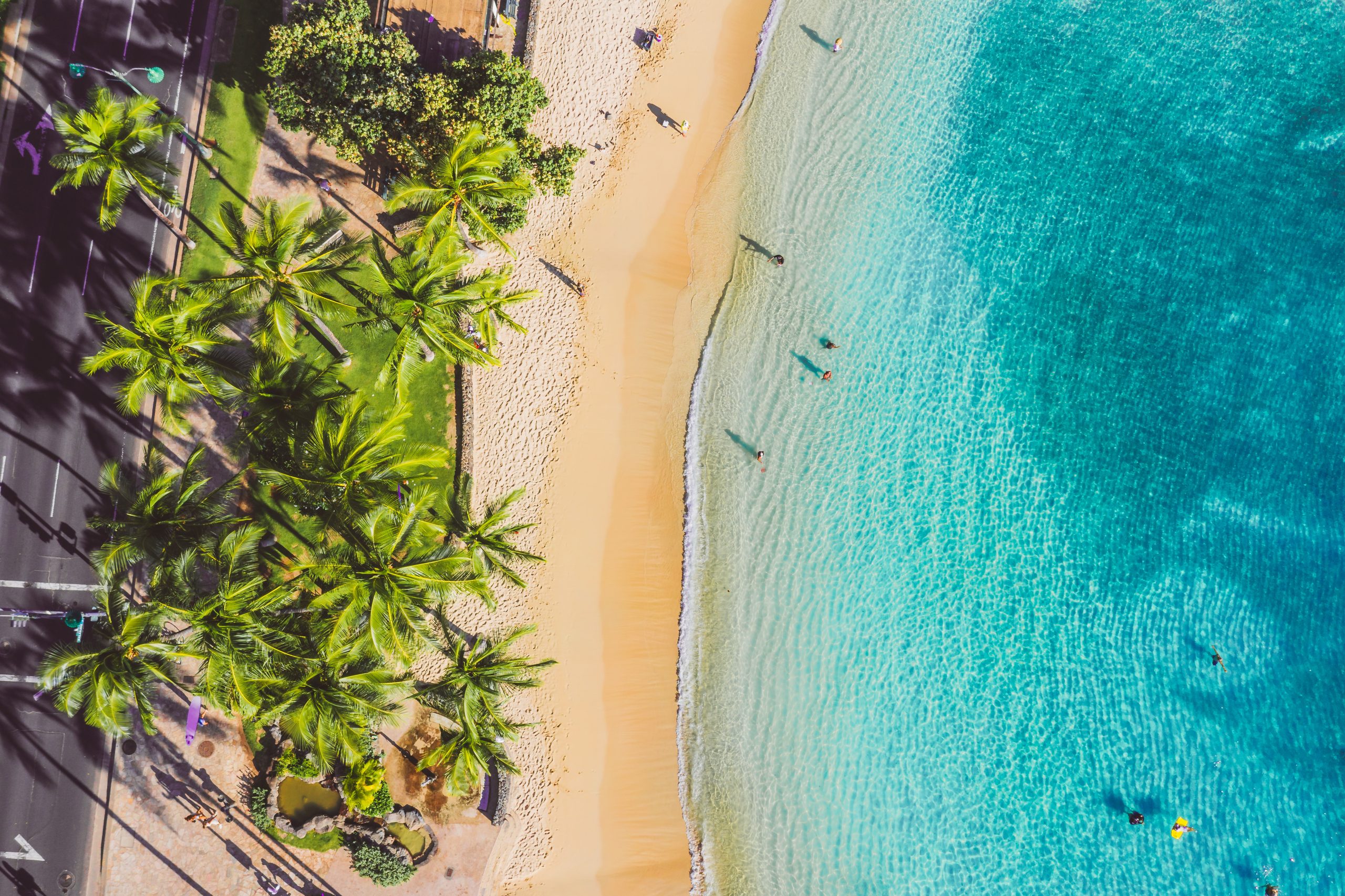 pexels-jess-loiterton-5232331