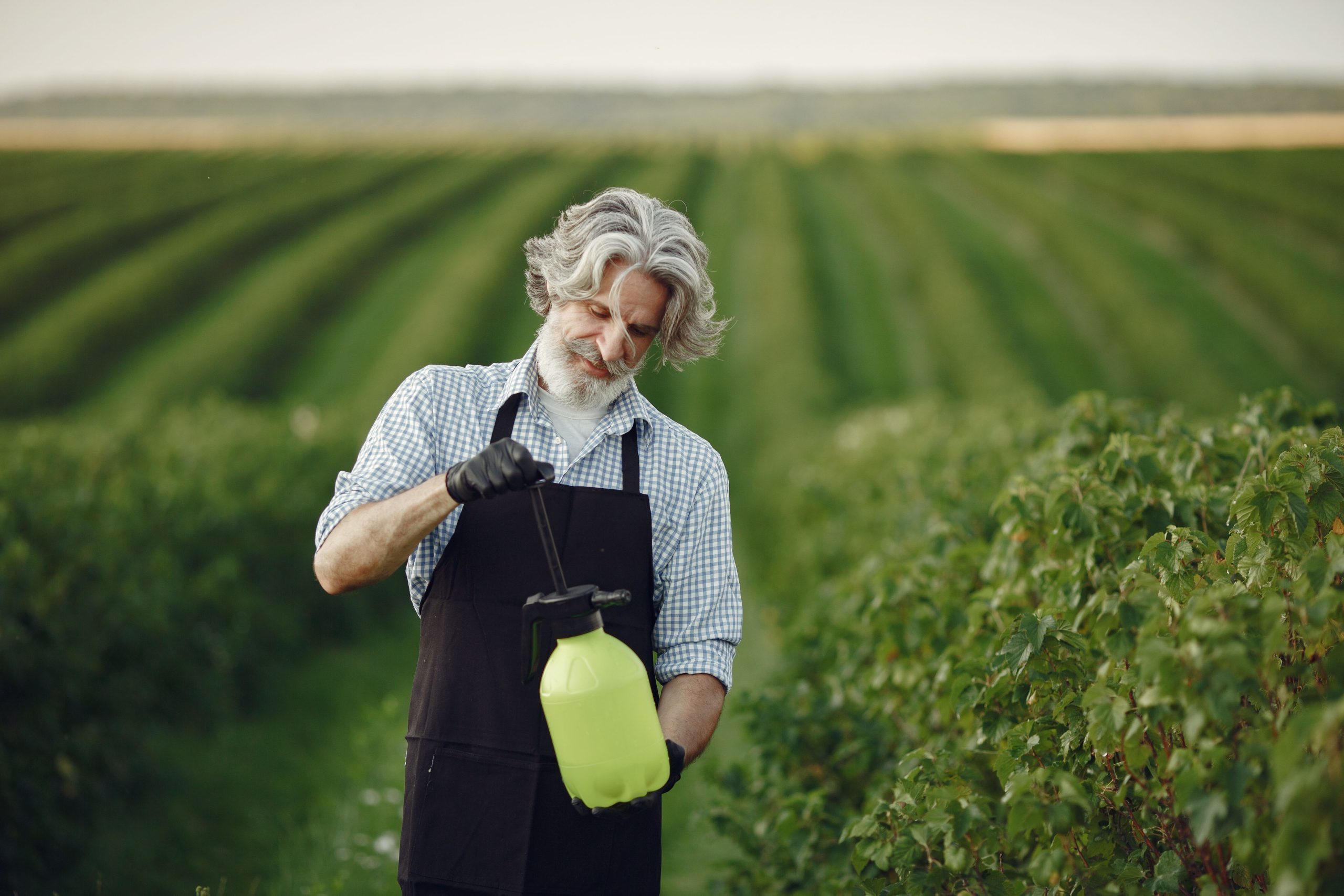 Fertilizers